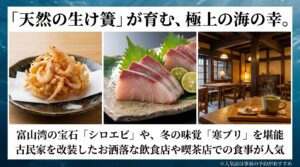富山湾の宝石シロエビのかき揚げや寒ブリの刺身、古民家を改装したおしゃれな喫茶店の店内写真。