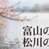 富山の春、松川の桜を象徴するタイトル画像