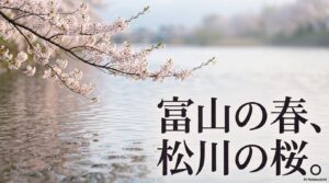 富山の春、松川の桜を象徴するタイトル画像
