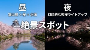 昼の富山城と桜の景色、夜の幻想的な夜桜ライトアップの絶景スポットの対比画像