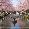 ファインダー越しの松川 富山・絶景撮影の作法。日本さくら名所百選、息を呑むほどの美しい春がここにある。