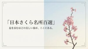 王道の構図 塩倉橋からの俯瞰。桜の空間と舟の波紋を狙う。標準からやや望遠の画角、三脚を避け手持ち撮影が流儀。