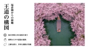 迫力の構図 舟からの低い視点。水面に近い舟上だけの特別な視界、歴史ある橋の裏側を写し込む、舟の揺れを防ぐための高速撮影。