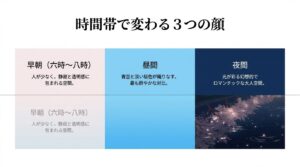 暗闇に浮かぶ夜桜が水面でもう一つの世界を作る幻想的な光景と、混雑を避けるなら20時以降がおすすめであることの解説