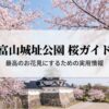 富山城址公園の桜ガイド・最高のお花見にするための実用情報