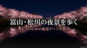 松川の夜景を歩く大人のための絶景デート空間