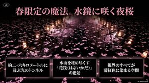 約2.6キロに及ぶ光のトンネルと水面に映る夜桜・花イカダの絶景