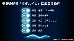 岩瀬浜でホタルイカの身投げに出会う条件（春季、深夜から未明、新月、穏やかな波、南風）と、三脚を用いた長時間露光という撮影のコツを紹介するスライド