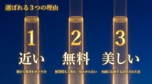 富岩運河環水公園が夜景散歩に選ばれる3つの理由。駅から徒歩わずか9分、無料で、水面に反射する光が美しい。
