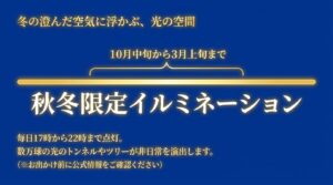 10月中旬から3月上旬まで開催される秋冬限定のイルミネーション。毎日17時から22時まで点灯し、数万球の光が非日常を演出。