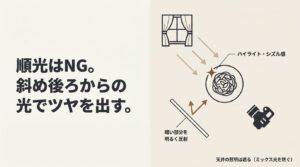 順光を避け、斜め後ろからの光でツヤを出し、手前の暗い部分をレフ板で明るく反射させる図解  