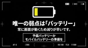 ミラーレスカメラの唯一の弱点はバッテリーの減りが早いこと。予備バッテリーなどの準備を推奨。
