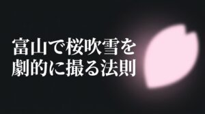 富山で桜吹雪を劇的に撮る法則