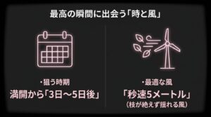 最高の瞬間に出会う時と風。満開から3日〜5日後、秒速5メートルの風が最適