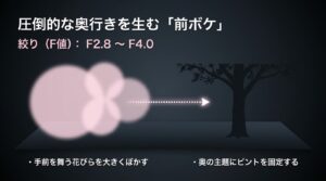 圧倒的な奥行きを生む前ボケ。絞りF2.8〜F4.0で手前を舞う花びらを大きくぼかす