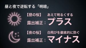 昼と夜で逆転する明暗。昼の桜はプラス補正、夜の桜はマイナス補正で白飛びを防ぐ
