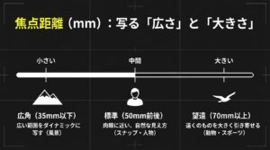 広角・標準・望遠レンズの焦点距離による写る範囲と大きさの違い