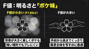 F値が小さいレンズ(背景がボケる)と大きいレンズ(全体がくっきり写る)の比較