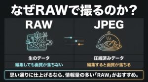 生のデータであるRAWと圧縮済みデータのJPEGの画質や特徴の違いの比較