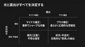 露出補正による印象の違いと、光の向きが引き出す描写や質感の違いをまとめたスライド