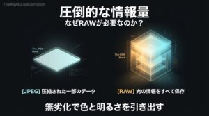 圧縮された一部のデータであるJPEGと、光の情報をすべて保存するRAWの違いを図解したスライド