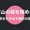 富山の桜を極める絶景を引き出す撮影の極意と書かれたタイトルスライド