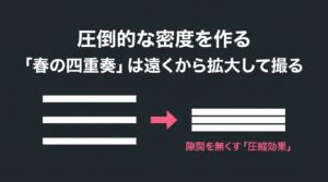 春の四重奏を遠くから拡大して撮り、隙間を無くす圧縮効果で圧倒的な密度を作る方法を解説したスライド