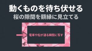 桜の隙間を額縁に見立て、電車や船が通る瞬間に写す動体撮影のコツを解説したスライド