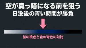 日没後の青い時間が勝負であり、桜の桃色と空の青色の対比を狙う夜間撮影のポイントを解説したスライド