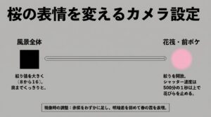 桜の表情を変える風景全体・花筏・前ボケの実践的なカメラ設定