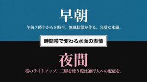 早朝の完璧な水鏡と夜間の桜ライトアップなど時間帯で変わる水面の表情