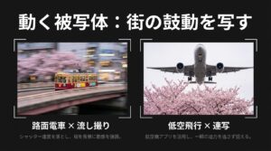 満開の桜をバックに、桜橋の上の線路を走るレトロな路面電車をシャッタースピードを落として流し撮りした躍動感のある写真。