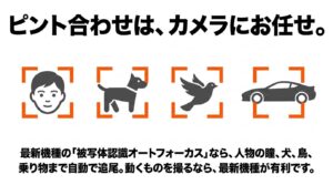 最新機種の被写体認識オートフォーカスにより、人物の瞳、犬、鳥、乗り物などに自動でピントを合わせるイメージ図