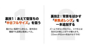 カメラ選びの裏技1としてあえて型落ちの中古フルサイズを狙う方法、裏技2として背景をぼかす単焦点レンズを追加する方法の紹介