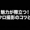 魅力が際立つ！モノクロ撮影のコツと設定