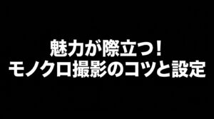 魅力が際立つ！モノクロ撮影のコツと設定
