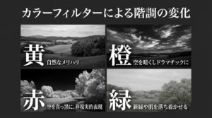 黄色（自然なメリハリ）、橙色（空を暗くしドラマチックに）、緑色（新緑や肌を落ち着かせる）などのカラーフィルターがモノクロ写真の階調に与える変化を説明した図解