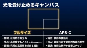 フルサイズとAPS-Cのセンサーサイズごとの特徴と強み