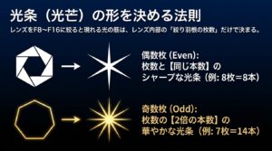 絞り羽根の枚数（偶数枚・奇数枚）によって光条の本数と形が変わる法則