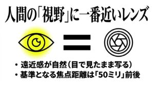 人間の視野に一番近く遠近感が自然な標準レンズの特徴(50ミリ前後)を示す図解