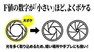 F値の数字が小さいほどよくボケて、光を多く取り込めるため暗い場所や手ブレに強いことを示す図解