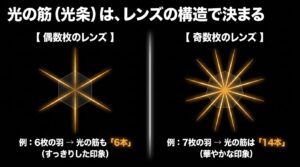 光の筋(光条)はレンズの構造で決まる。偶数枚のレンズは羽と同じ本数でスッキリとした印象、奇数枚は2倍の本数で華やかな印象になることを解説したスライド。