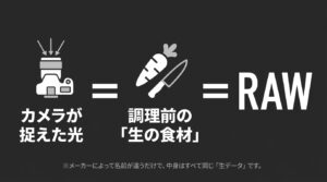 カメラが捉えた光をそのまま保存した、調理前の「生の食材」のようなデータがRAW