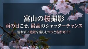 富山の桜撮影ガイドの表紙スライド。「雨の日こそ、最高のシャッターチャンス。濡れずに絶景を楽しむコツと名所ガイド」というタイトルテキスト