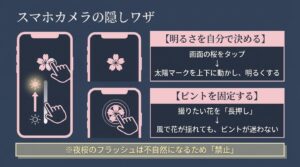 スマホカメラの隠しワザをまとめたスライド。明るさの手動調整、ピントの固定（長押し）、夜桜でのフラッシュ禁止について解説
