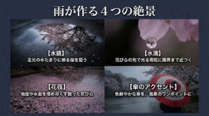 雨が作る4つの絶景を紹介したスライド。水鏡、水滴、花筏、傘のアクセントを活かした構図のポイントを解説