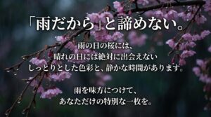 雨だからと諦めない」というメッセージスライド。雨の日ならではのしっとりとした色彩と静かな時間を味方につけることを提案