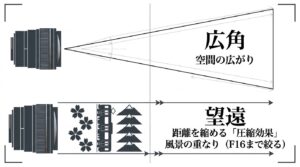 広角レンズによる空間の広がりと、望遠レンズを使った風景の重なりを引き出す圧縮効果の比較解説