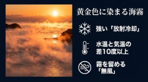 強い放射冷却、水温と気温の差10度以上、無風などの条件で発生する黄金色に染まる海霧