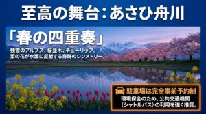 あさひ舟川の春の四重奏の魅力と、環境保全のための駐車場完全事前予約制・公共交通機関利用の推奨に関する注意喚起